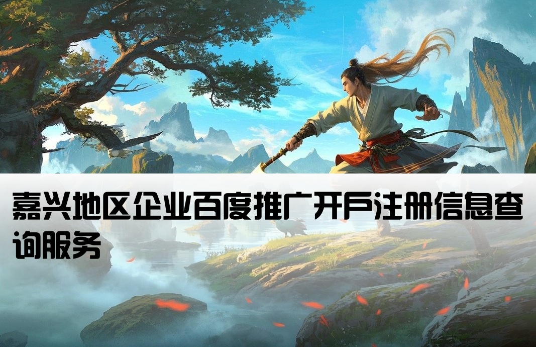 嘉兴百度开户公司名称查询