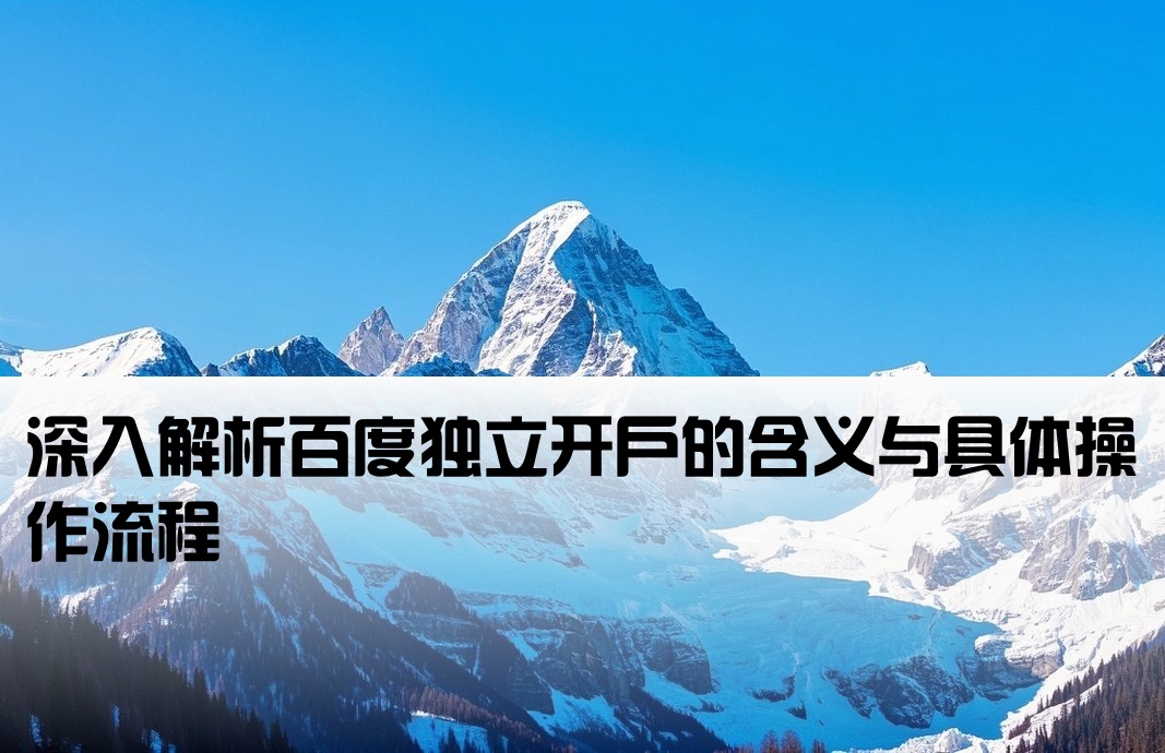 百度独立开户什么意思啊